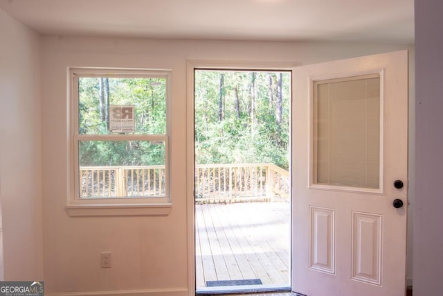 doorway to outside featuring a healthy amount of sunlight