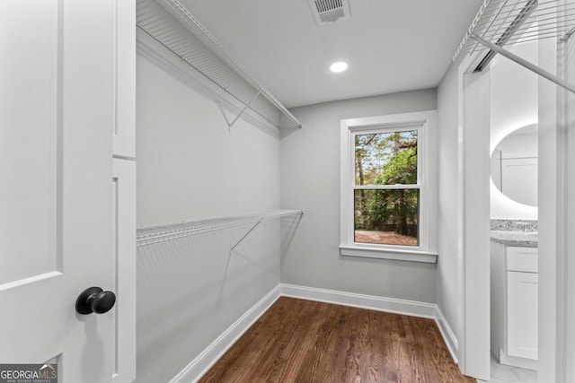 spacious closet featuring dark wood-type flooring