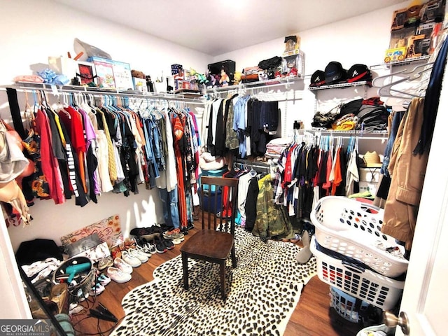 spacious closet with wood-type flooring