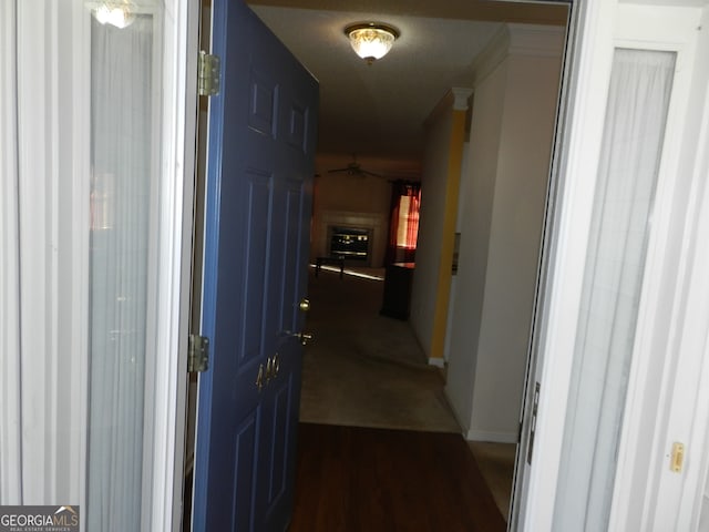 corridor featuring dark wood-type flooring