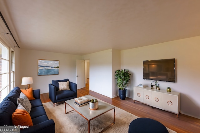 living room featuring hardwood / wood-style floors