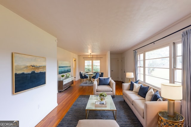 living room featuring wood-type flooring