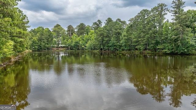 1490 E Peachtree Ave, Woodville GA, 30669 land for sale