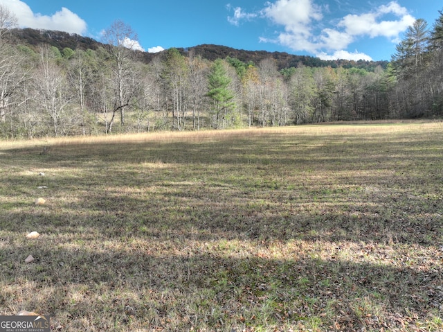 property view of mountains