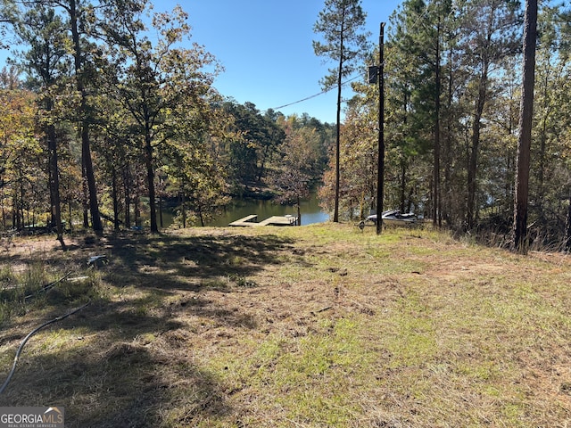 Listing photo 3 for 511 Chickasaw Trl N, Sparta GA 31087