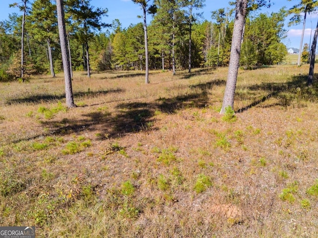 0 County Rd Unit 267, Lanett AL, 36863 land for sale