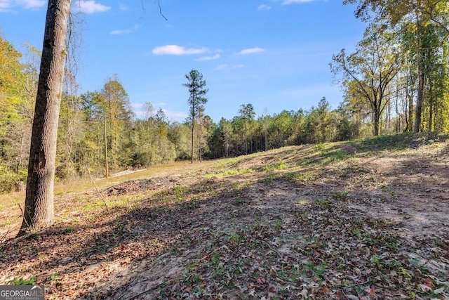 Listing photo 2 for 0 County Rd Unit 267, Lanett AL 36863