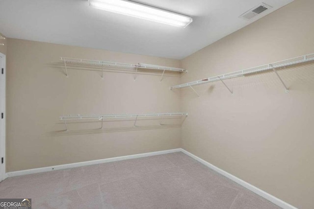 spacious closet featuring light colored carpet