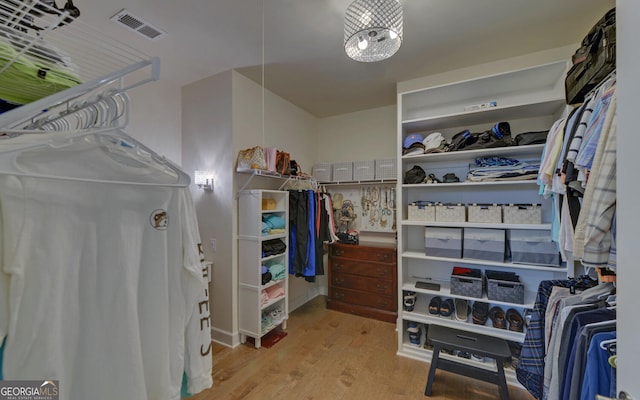 spacious closet with light wood-type flooring