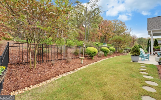 view of yard featuring a patio area