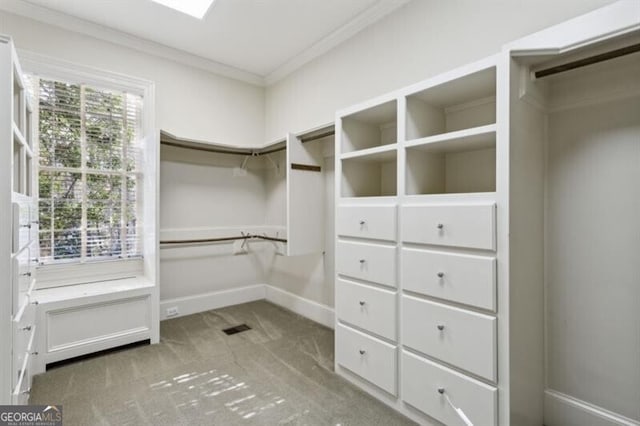 spacious closet with carpet flooring