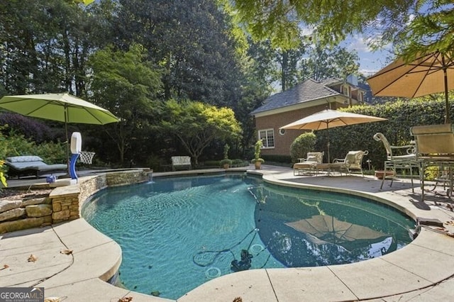 view of swimming pool with a patio area