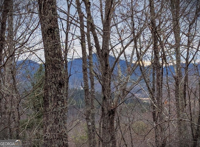 exterior space featuring a mountain view