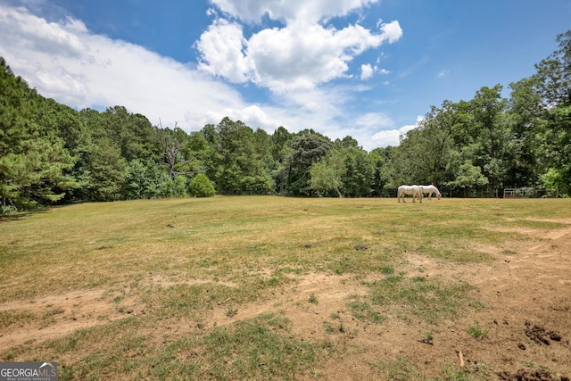 view of yard with a rural view