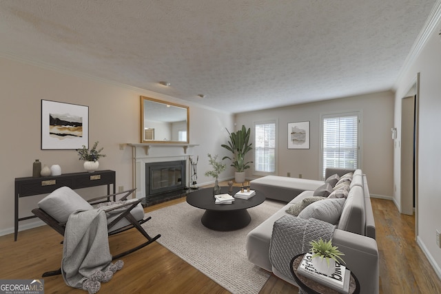 living room with ornamental molding, hardwood / wood-style floors, and a textured ceiling