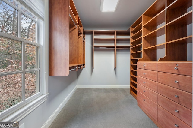 spacious closet featuring light carpet