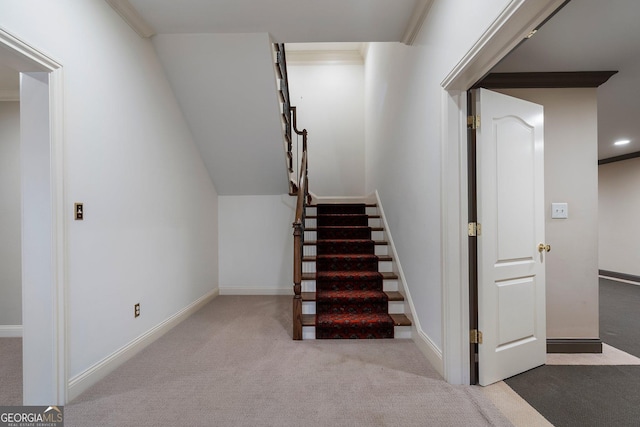 stairway featuring carpet flooring and crown molding