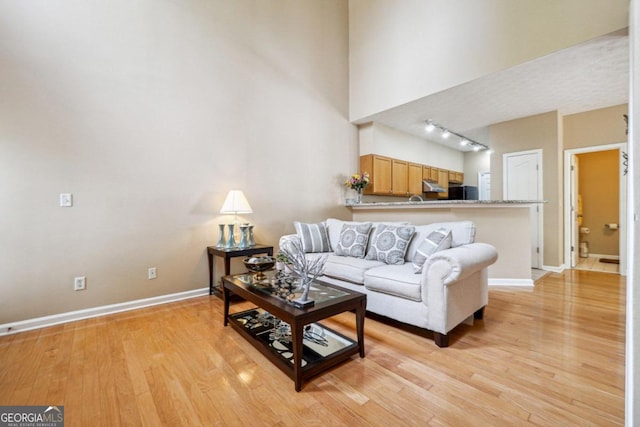 living room with track lighting and light hardwood / wood-style flooring