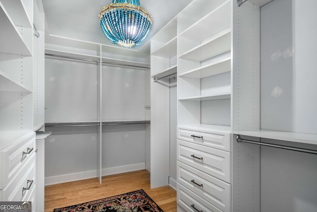 walk in closet with light wood-type flooring