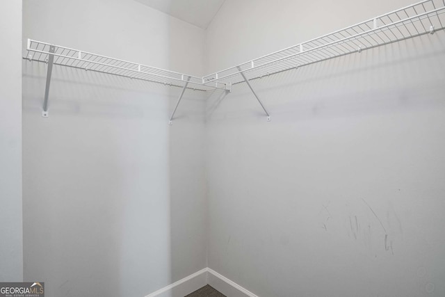 view of walk in closet