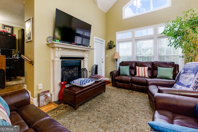 living room featuring hardwood / wood-style floors and high vaulted ceiling