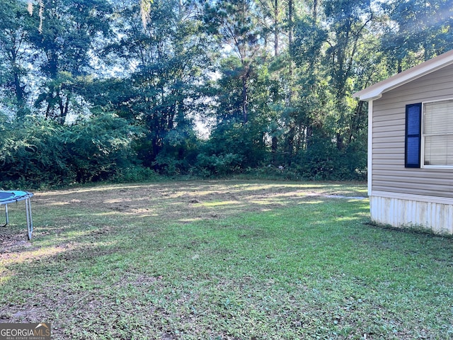 view of yard featuring a trampoline