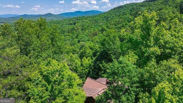 drone / aerial view with a mountain view