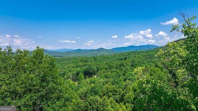 view of mountain feature