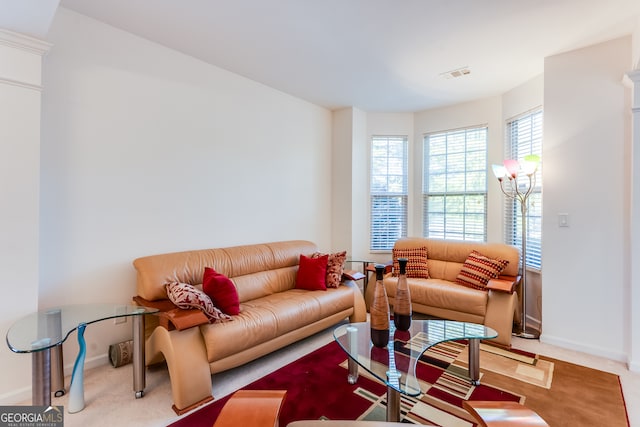 living room featuring carpet floors