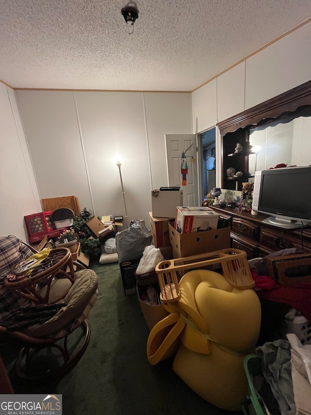 miscellaneous room featuring a textured ceiling and carpet floors