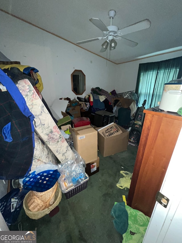 storage room with ceiling fan