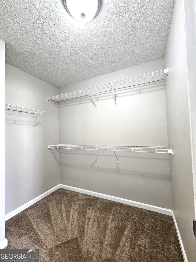 spacious closet featuring carpet floors