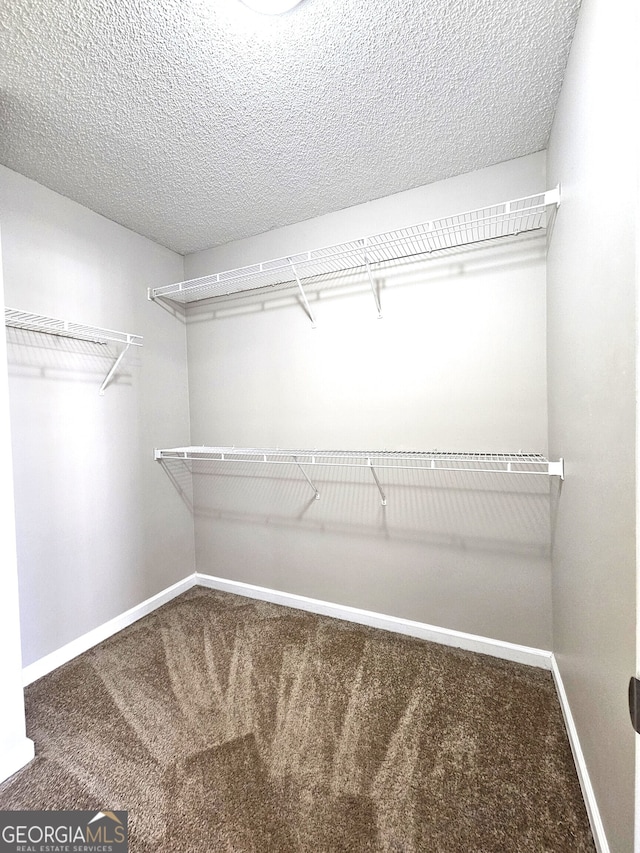 walk in closet featuring carpet