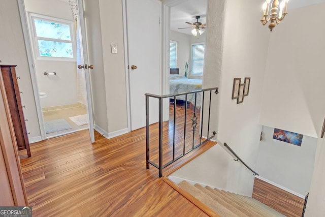 stairway featuring ceiling fan with notable chandelier and hardwood / wood-style flooring