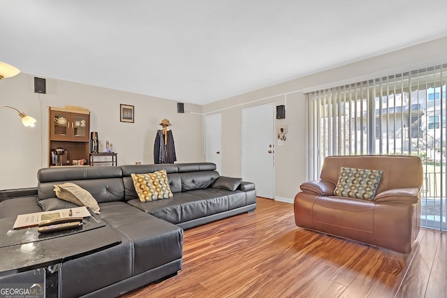 living room with hardwood / wood-style floors and a wealth of natural light