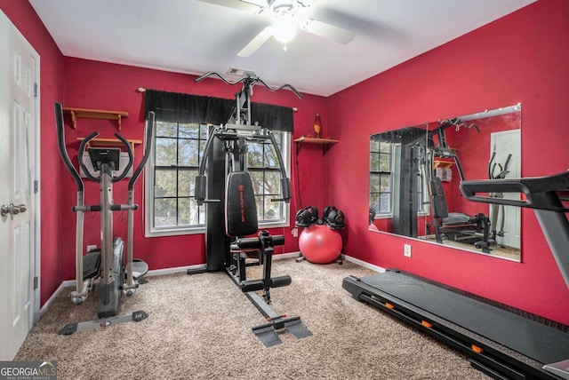 exercise room with ceiling fan and carpet flooring