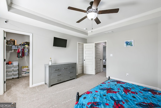 carpeted bedroom featuring a closet, a spacious closet, ornamental molding, a tray ceiling, and ceiling fan