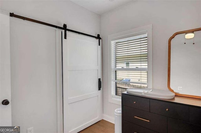 bathroom with vanity, wood-type flooring, and plenty of natural light