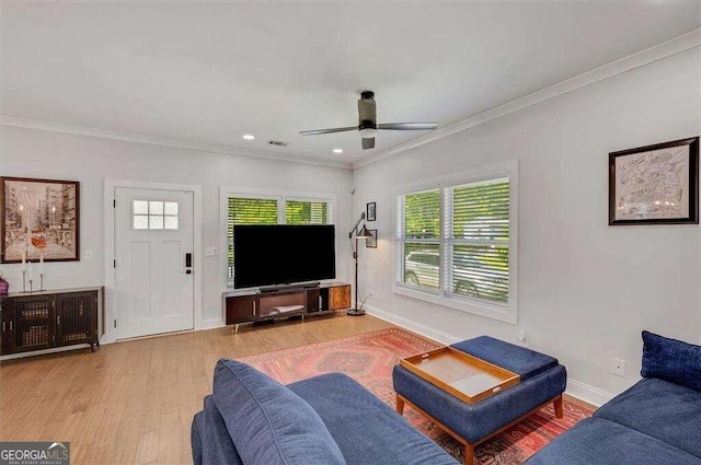 living room with ceiling fan, a wealth of natural light, light hardwood / wood-style floors, and crown molding