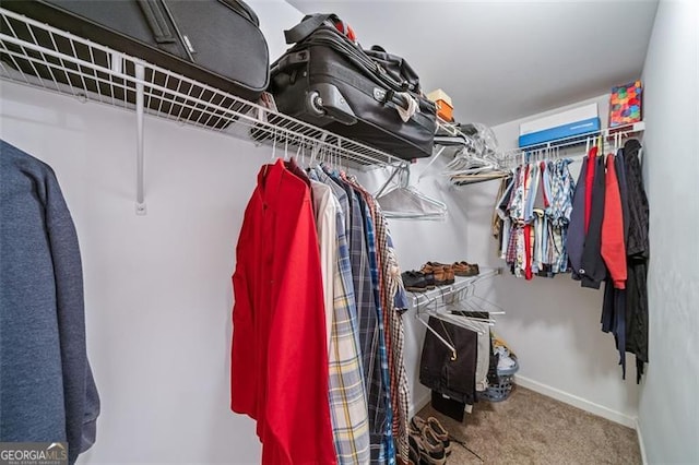 spacious closet featuring carpet flooring