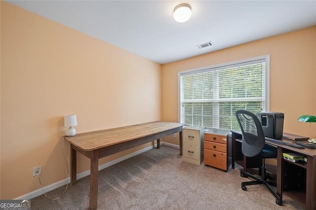 office area featuring light carpet