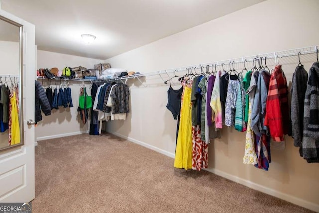 spacious closet featuring carpet flooring