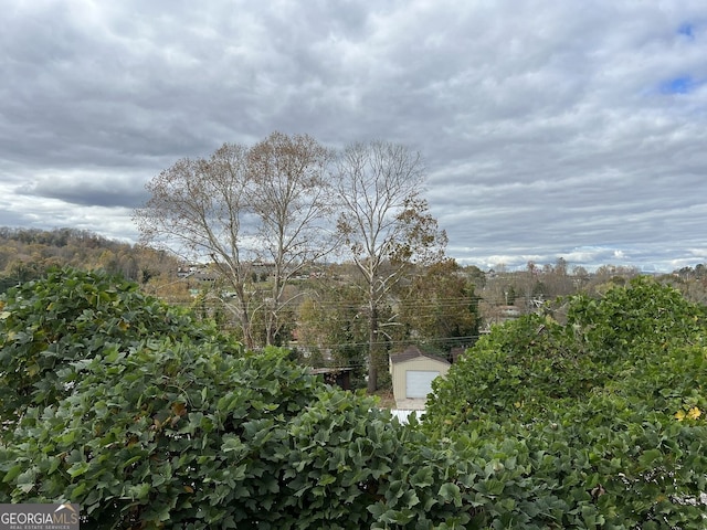 330 E Second St, Blue Ridge, GA 30513 - view of mountain background