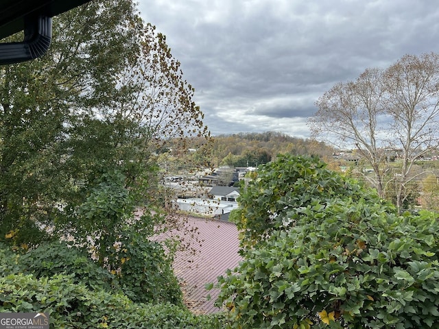 330 E Second St, Blue Ridge, GA 30513 - water view