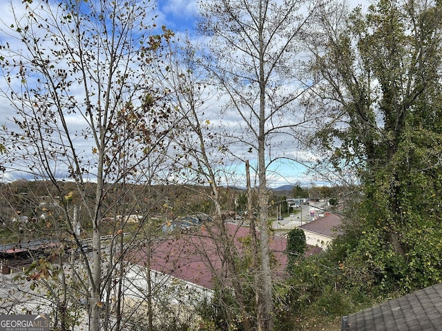330 E Second St, Blue Ridge, GA 30513 - water view