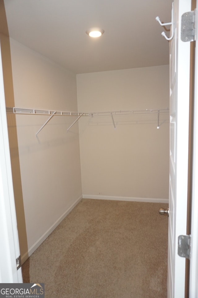 walk in closet with carpet floors