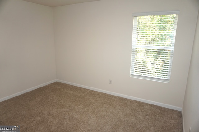 spare room featuring carpet