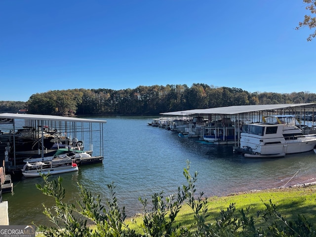 dock area featuring a water view