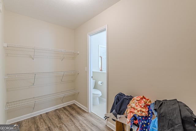 spacious closet featuring hardwood / wood-style flooring