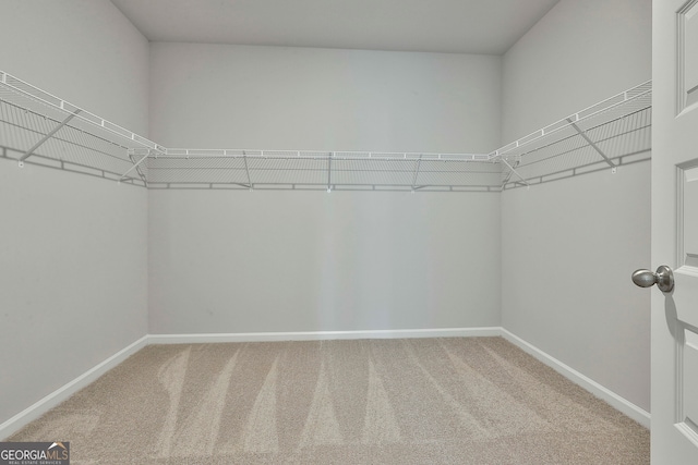 spacious closet featuring carpet flooring